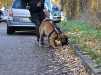 Polizeihund stoppt Automatenknacker