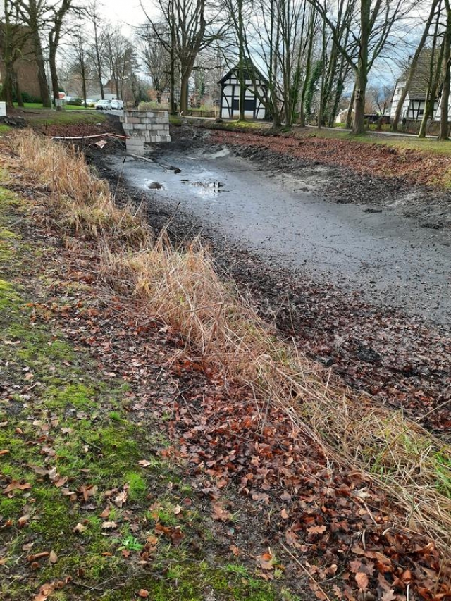 Reimlers Teich wird &ouml;kologisch saniert