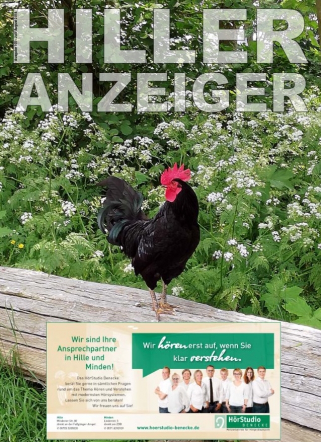 Hiller Anzeiger 7-2018